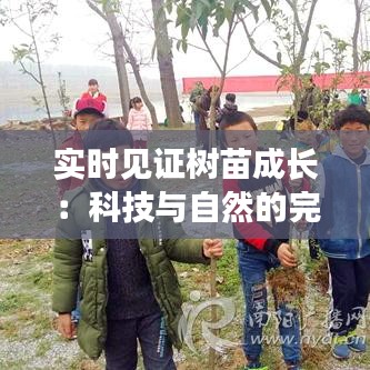 实时见证树苗成长：科技与自然的完美融合