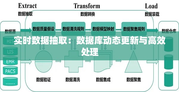 实时数据抽取：数据库动态更新与高效处理