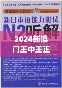 2024新澳门王中王正版,模型解答解释落实_android2.224