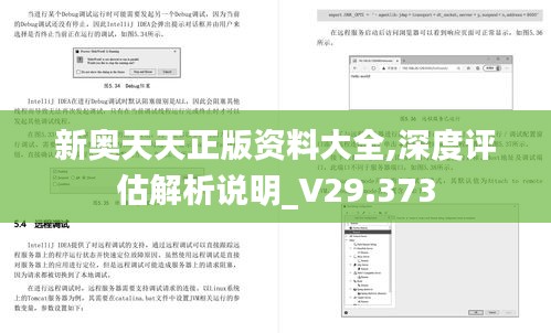 新奥天天正版资料大全,深度评估解析说明_V29.373