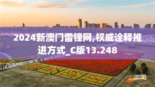 2024新澳门雷锋网,权威诠释推进方式_C版13.248