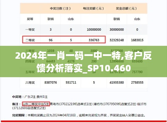 2024年一肖一码一中一特,客户反馈分析落实_SP10.460