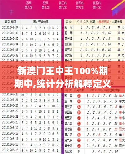 新澳门王中王100%期期中,统计分析解释定义_模拟版11.442