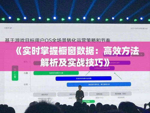 《实时掌握橱窗数据：高效方法解析及实战技巧》