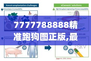 7777788888精准跑狗图正版,最新正品解答落实_3D9.843