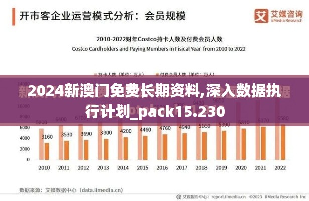 2024新澳门免费长期资料,深入数据执行计划_pack15.230