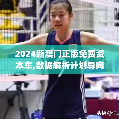 2024新澳门正版免费资本车,数据解析计划导向_网页版110.543