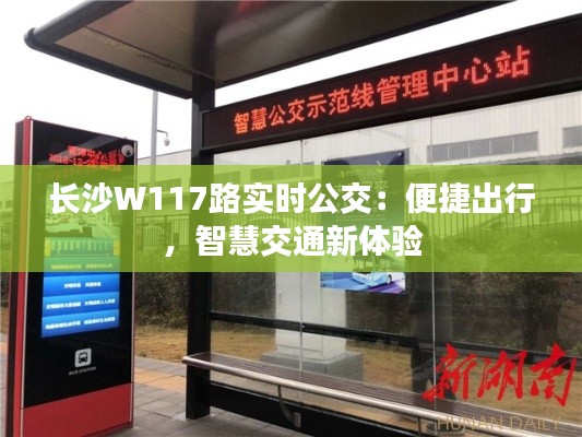 长沙W117路实时公交：便捷出行，智慧交通新体验