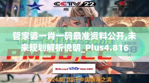 管家婆一肖一码最准资料公开,未来规划解析说明_Plus4.816