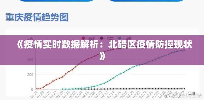 《疫情实时数据解析：北碚区疫情防控现状》