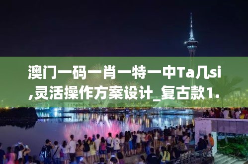 澳门一码一肖一特一中Ta几si,灵活操作方案设计_复古款1.549