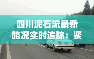 四川泥石流最新路况实时追踪：紧急应对与救援进展