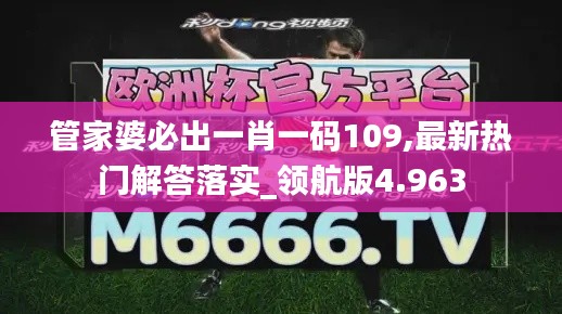 管家婆必出一肖一码109,最新热门解答落实_领航版4.963