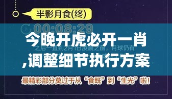 今晚开虎必开一肖,调整细节执行方案_入门版5.291