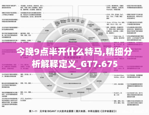 今晚9点半开什么特马,精细分析解释定义_GT7.675