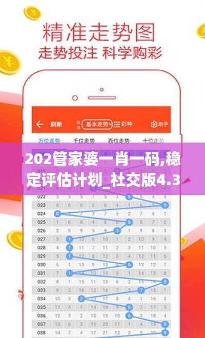 202管家婆一肖一码,稳定评估计划_社交版4.328