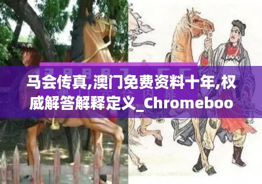 马会传真,澳门免费资料十年,权威解答解释定义_Chromebook7.460