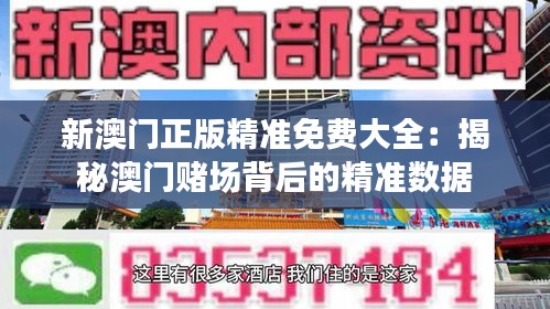 新澳门正版精准免费大全：揭秘澳门赌场背后的精准数据