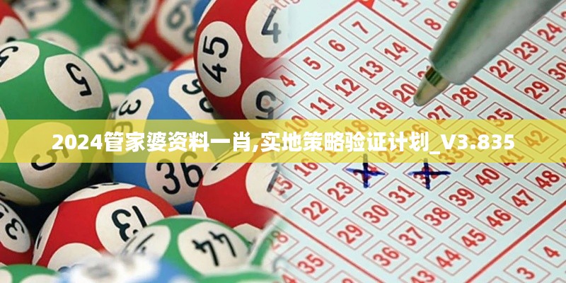 2024管家婆资料一肖,实地策略验证计划_V3.835