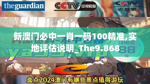 新澳门必中一肖一码100精准,实地评估说明_The9.868