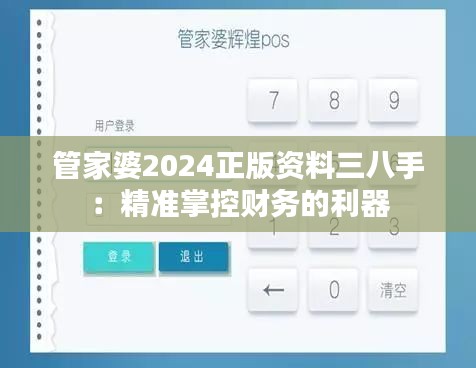 管家婆2024正版资料三八手：精准掌控财务的利器