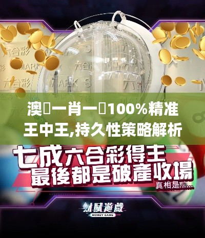 澳門一肖一碼100%精准王中王,持久性策略解析_豪华款3.771