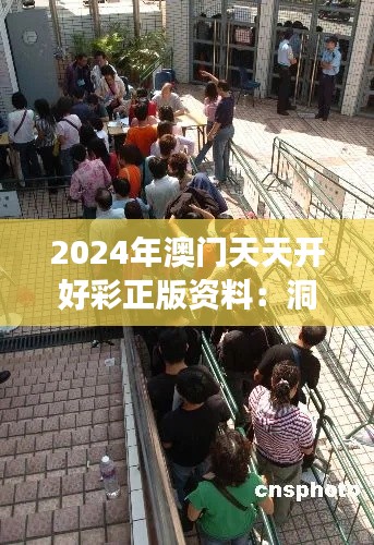 2024年澳门天天开好彩正版资料：洞察博彩业的法律边界与市场趋势