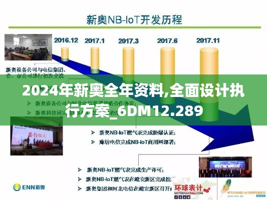 2024年新奥全年资料,全面设计执行方案_6DM12.289