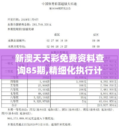 新澳天天彩免费资料查询85期,精细化执行计划_GM版4.362