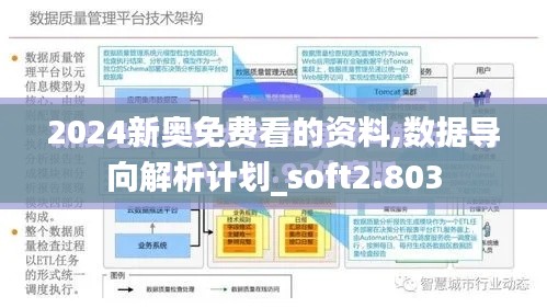 2024新奥免费看的资料,数据导向解析计划_soft2.803