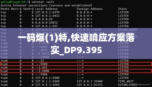 一码爆(1)特,快速响应方案落实_DP9.395