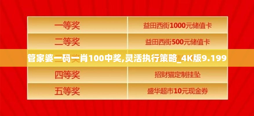 管家婆一码一肖100中奖,灵活执行策略_4K版9.199