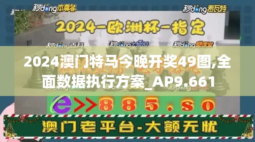 2024澳门特马今晚开奖49图,全面数据执行方案_AP9.661