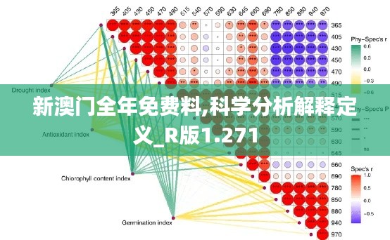 新澳门全年免费料,科学分析解释定义_R版1.271