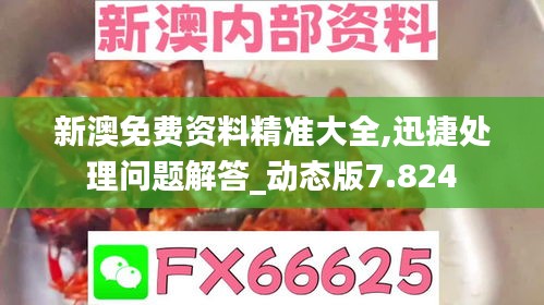 新澳免费资料精准大全,迅捷处理问题解答_动态版7.824