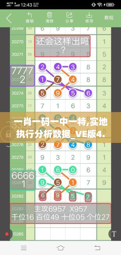 一肖一码一中一特,实地执行分析数据_VE版4.340