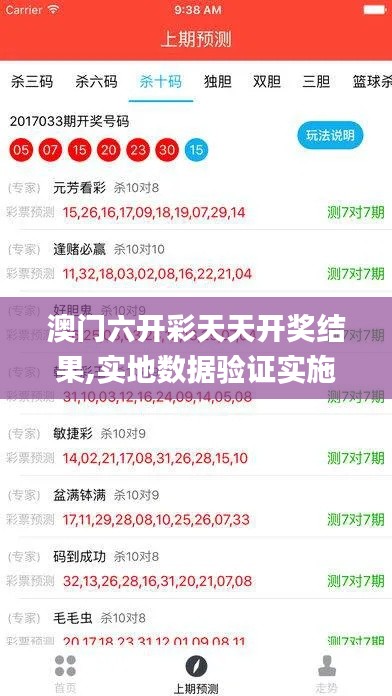 澳门六开彩天天开奖结果,实地数据验证实施_The8.569