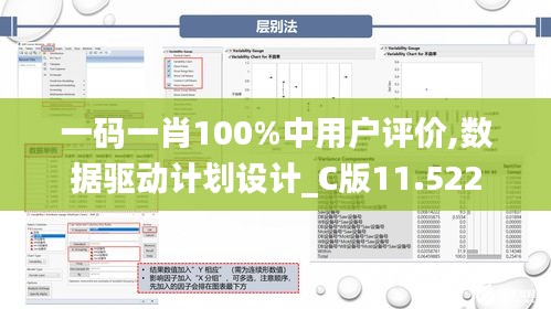 一码一肖100%中用户评价,数据驱动计划设计_C版11.522