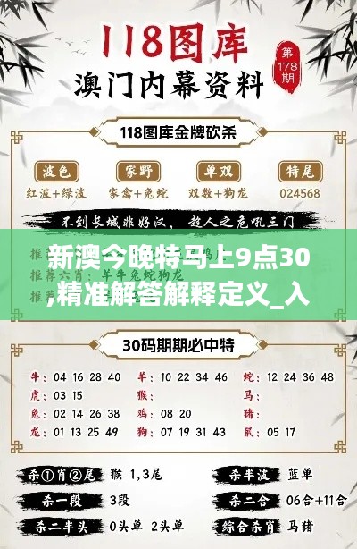 新澳今晚特马上9点30,精准解答解释定义_入门版8.994