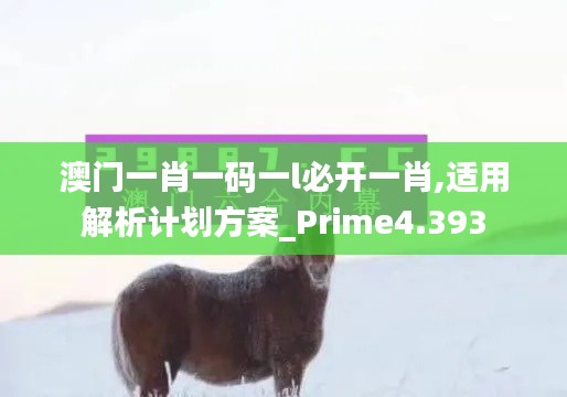 澳门一肖一码一l必开一肖,适用解析计划方案_Prime4.393