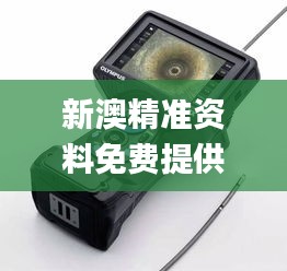 新澳精准资料免费提供265期,动态说明解析_Lite1.460