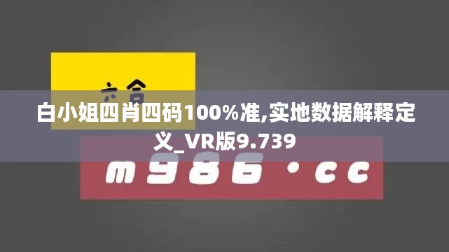 白小姐四肖四码100%准,实地数据解释定义_VR版9.739