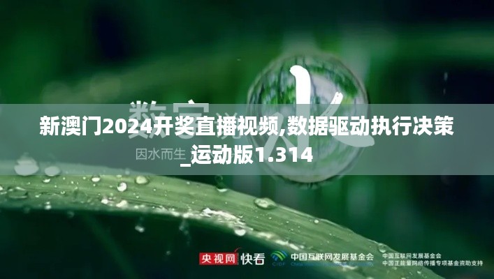 新澳门2024开奖直播视频,数据驱动执行决策_运动版1.314