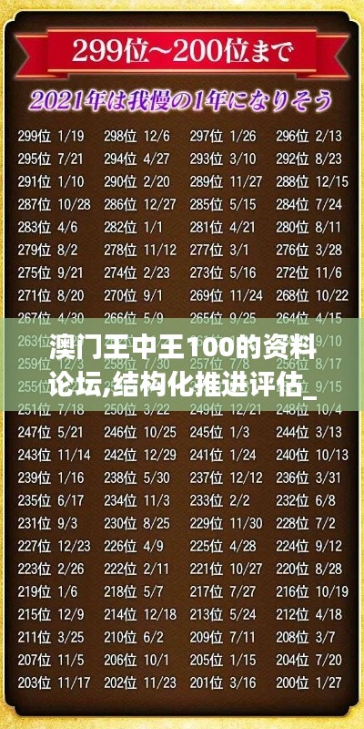 澳门王中王100的资料论坛,结构化推进评估_特供版4.199