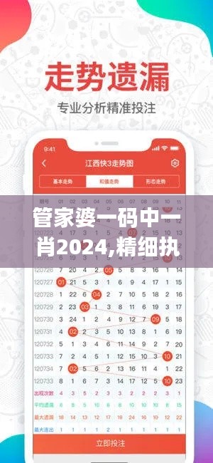 管家婆一码中一肖2024,精细执行计划_Plus7.895