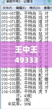 王中王493333WWW马头诗,精细化计划执行_C版110.345