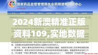 2024新澳精准正版资料109,实地数据验证执行_D版3.168