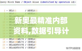 新奥最精准内部资料,数据引导计划执行_iPad3.609