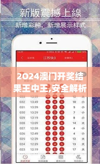 2O24澳门开奖结果王中王,安全解析策略_限定版9.425