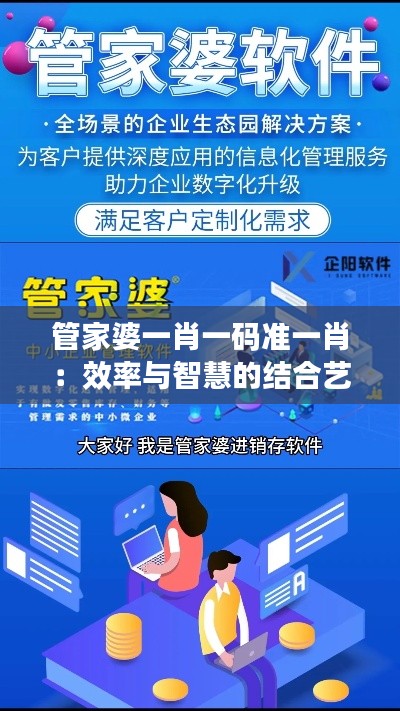 管家婆一肖一码准一肖：效率与智慧的结合艺术